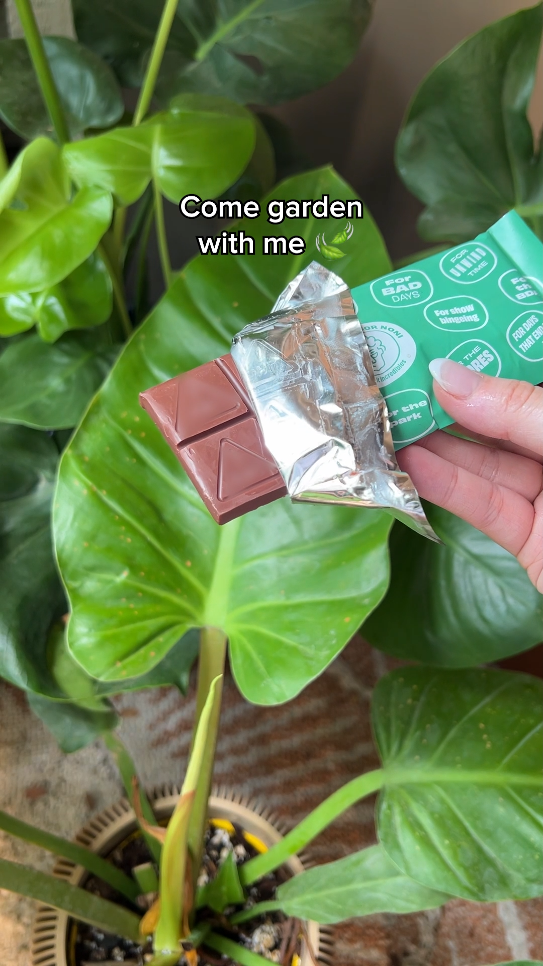 edibles-for-sale-online